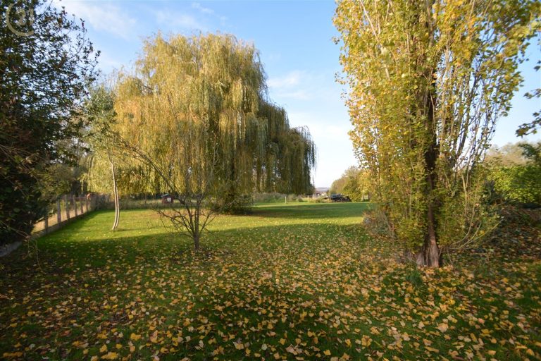 1232_30863.jpg