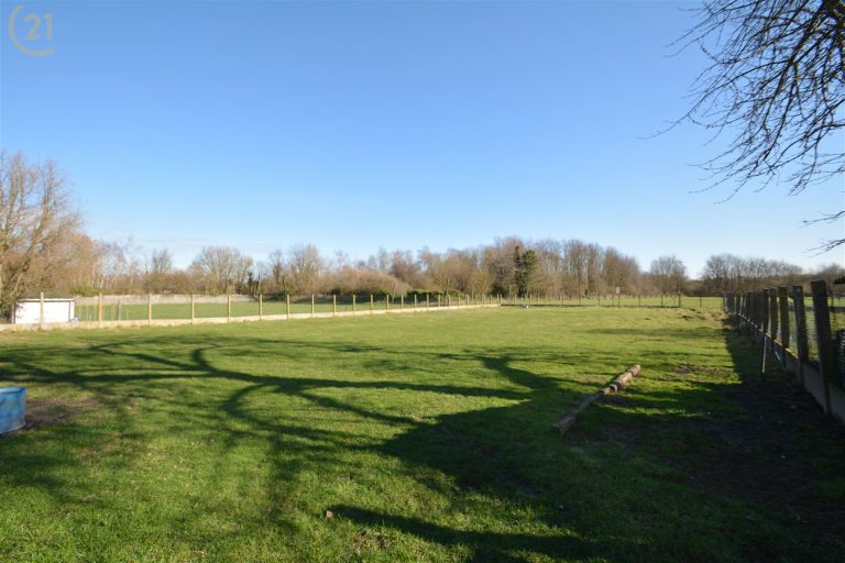 1245_31408.jpg