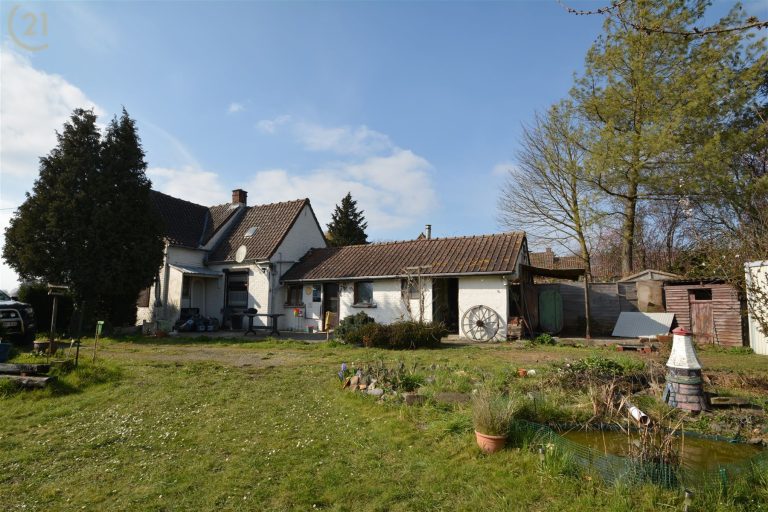 1256_31496.jpg