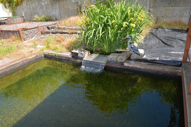 1267_31830.jpg