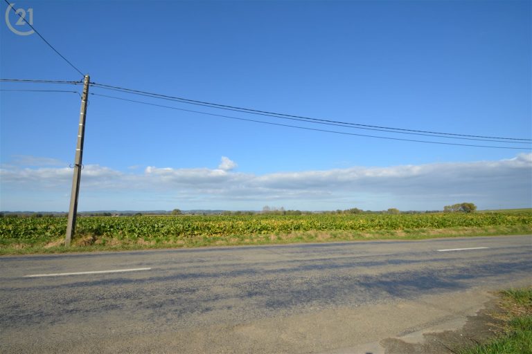 1295_32399.jpg