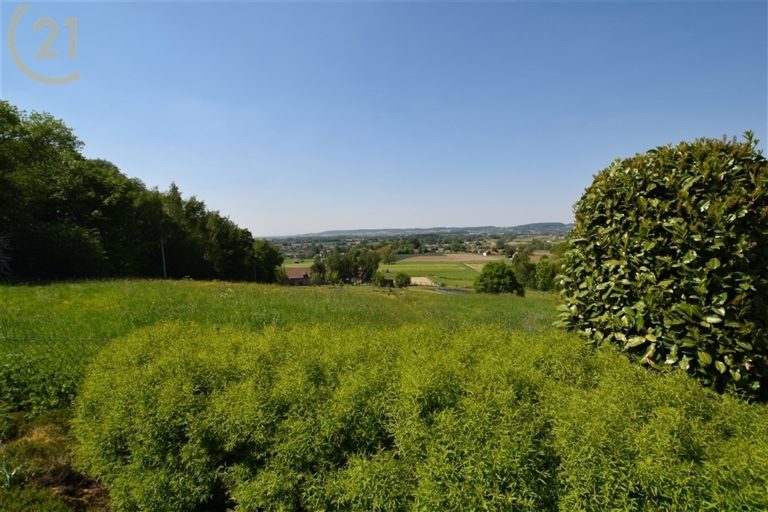 1084_26969.jpg