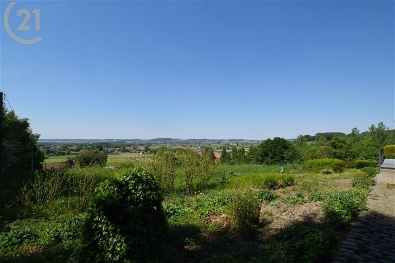 1084_26970.jpg