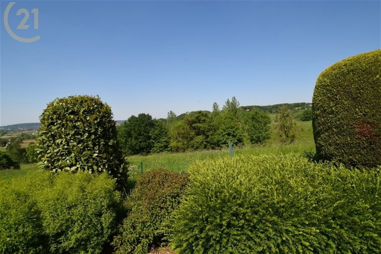 1084_26981.jpg