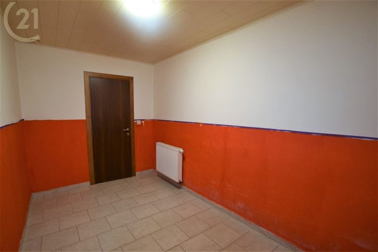 1136_28044.jpg