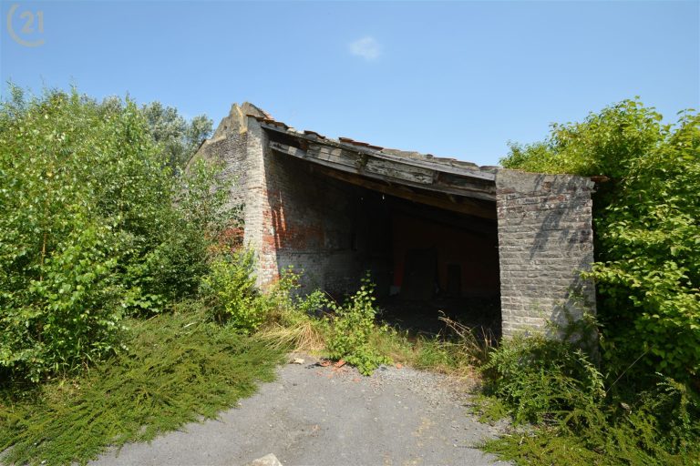1277_31952.jpg