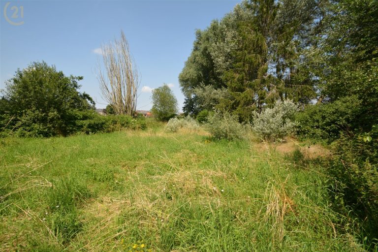1277_31954.jpg