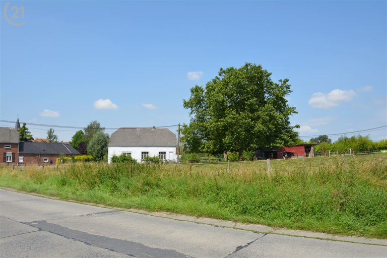 1277_31958.jpg