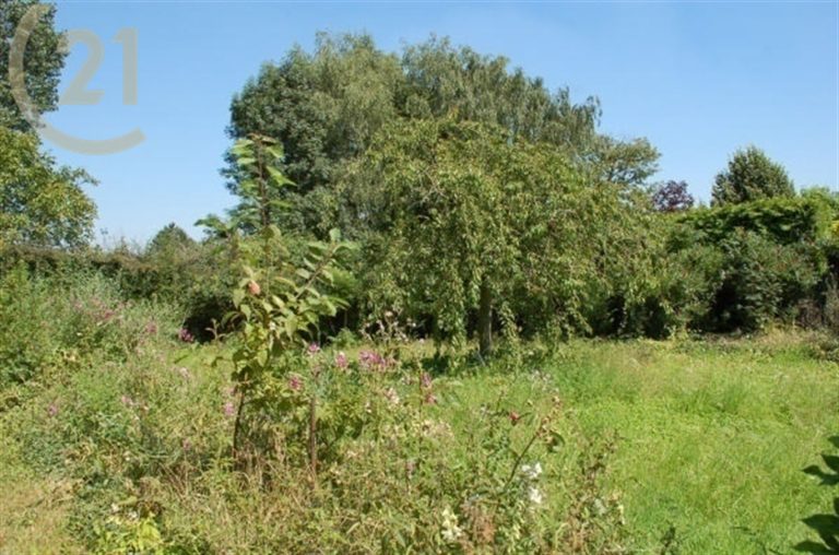 243_7560.jpg