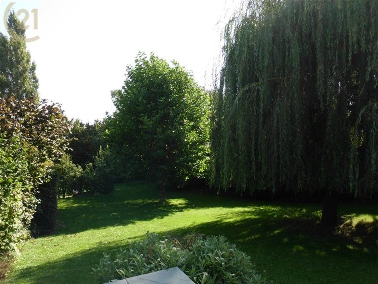 540_14453.jpg