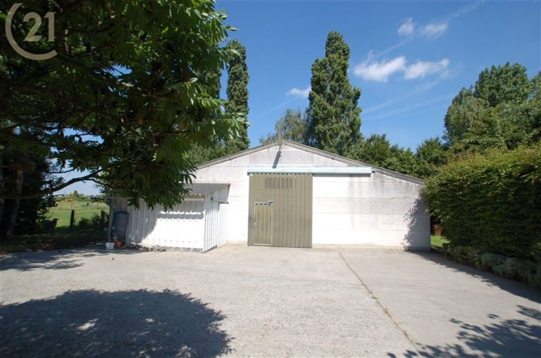 540_14454.jpg