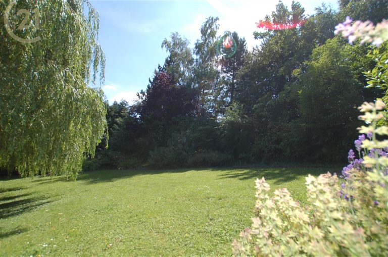 540_14456.jpg