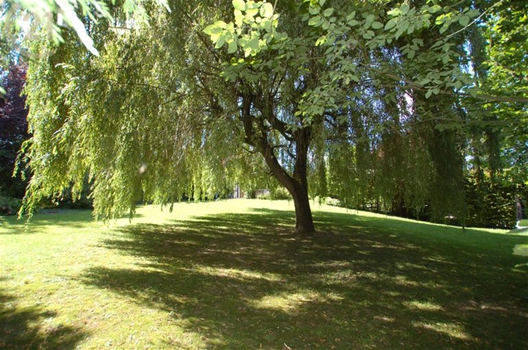 540_14457.jpg