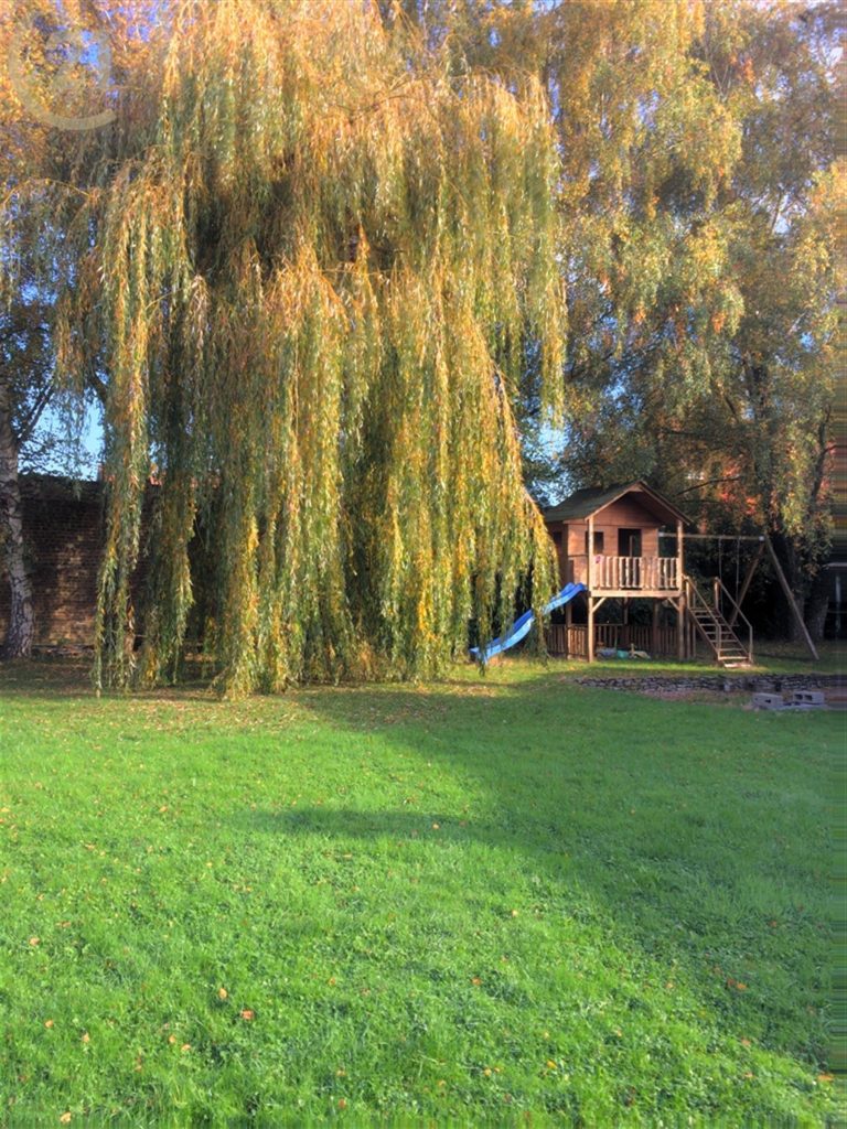 727_18503.jpg