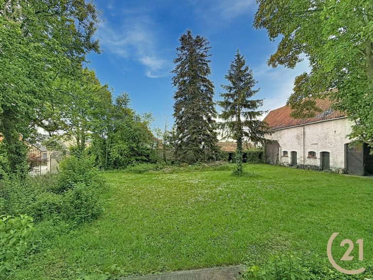 1927_38452.jpg