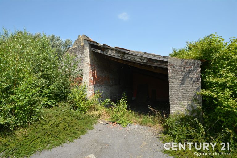 1277_31952.jpg