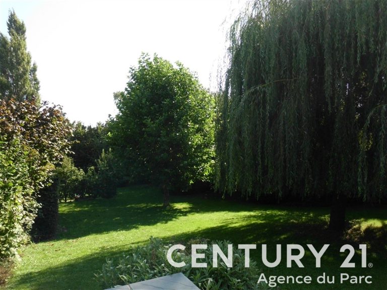540_14453.jpg