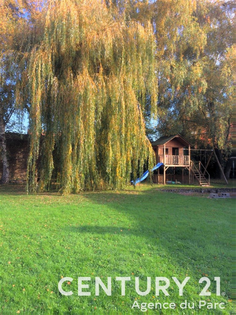 727_18503.jpg