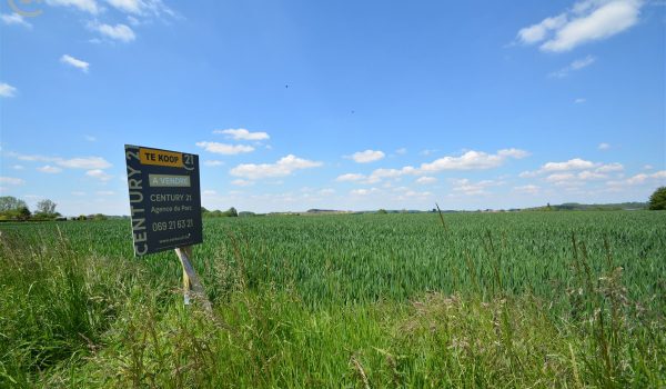 1270_31856.jpg