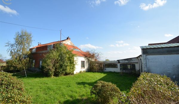 1295_32426.jpg