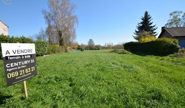 1369_33531.jpg