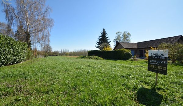 1369_33533.jpg