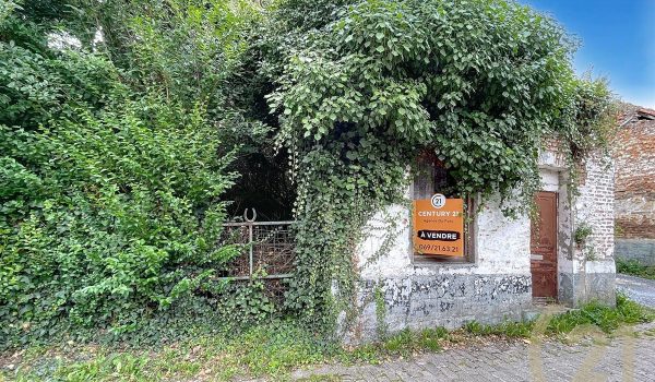 1708_36601.jpg