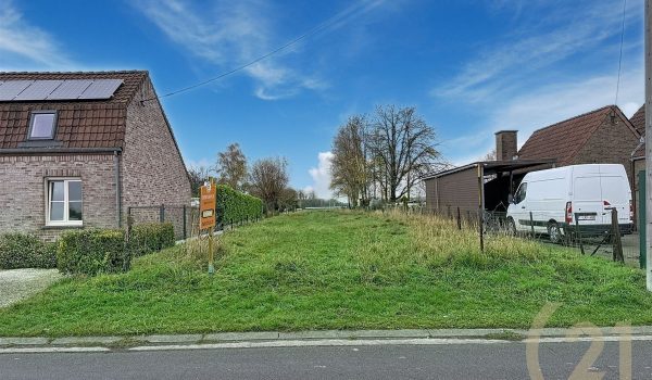 1753_37893.jpg